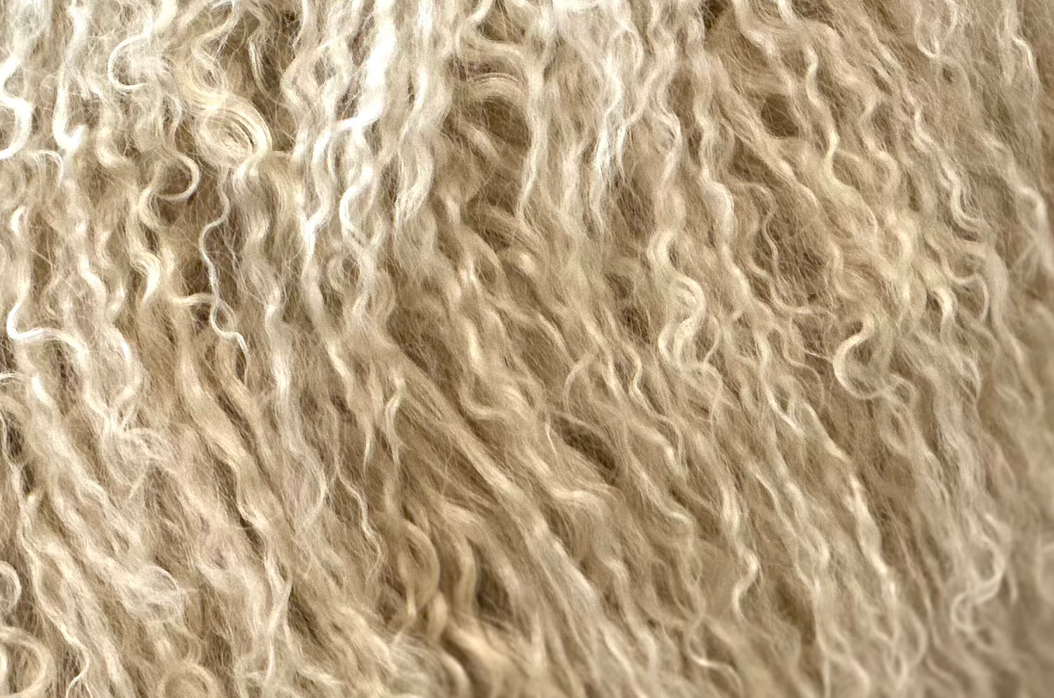 The Luxury Tibet Lamb 全面チベットラムクッションカバー (ラテ) 40×40cm