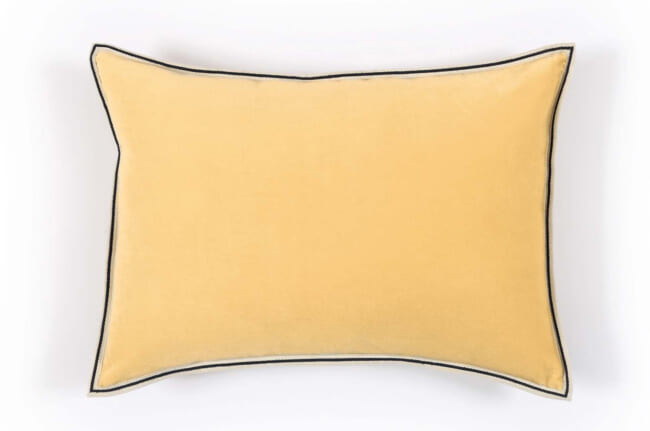 et-aristote-co1782002