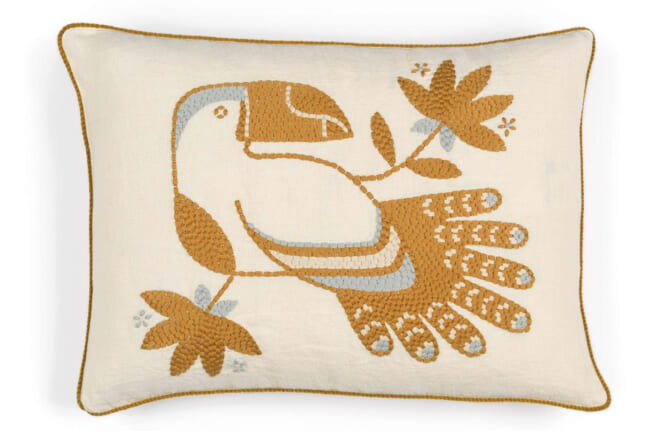 et-cristobal-co2492602