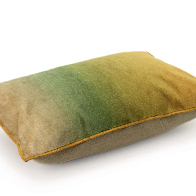 【海外取寄品】ELITIS(エリティス) Fortune クッション(Chartreuse) 55x40cm 中材付