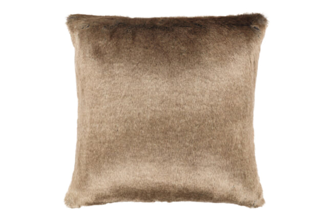 zinc-bluefox-zc33901c