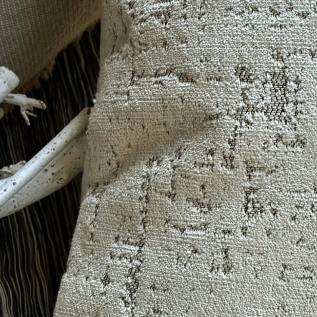 The SPHINX スフィンクス フレンチデザインベルベット クッションカバー (グレージュ) 45×45cm