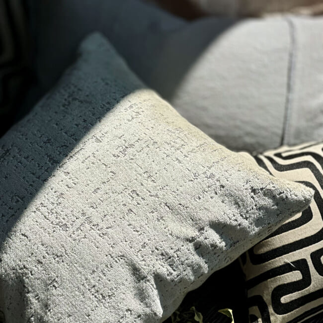 The SPHINX スフィンクス フレンチデザインベルベット クッションカバー (グレージュ) 45×45cm